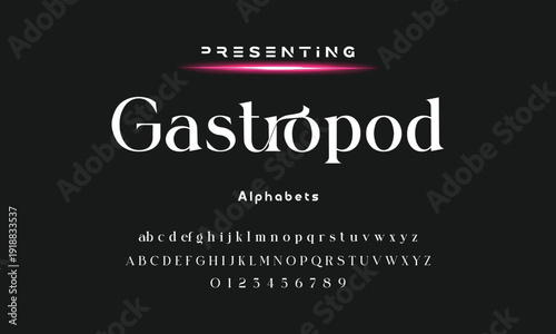 Elegant and modern serif alphabet font uppercase and number fonts victorian typeface