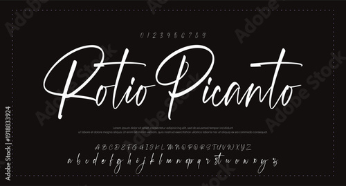 Elegant Script Font Alphabet Typography 