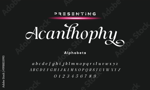 Elegant and modern serif alphabet font uppercase and number fonts victorian typeface