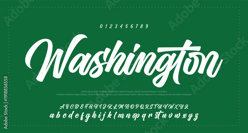 Script Brush Font Type Font lettering handwritten 