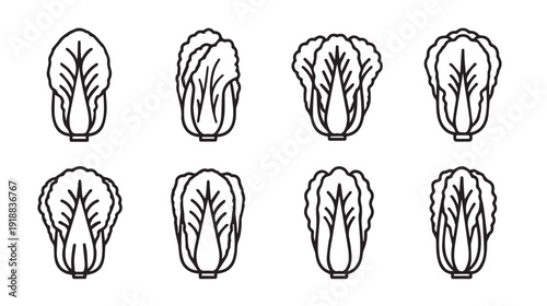Napa Cabbage Icon Set Outline Vegetables Fresh Produce Graphics Healthy Food Icons