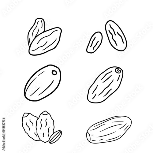 A collection of hand-drawn illustrations depicting various types of date fruit, perfect for culinary and health-related content