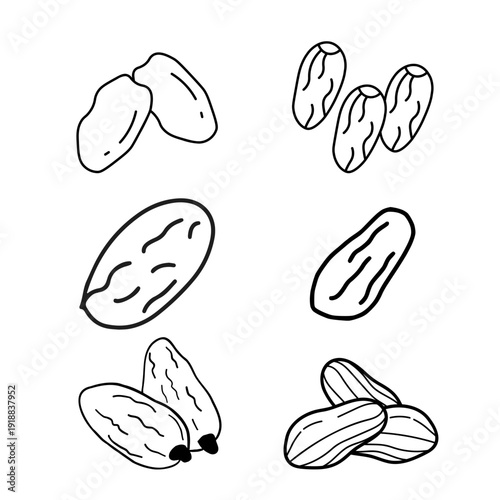 Hand-drawn illustrations of dried fruits, featuring  dates, presented in a simple black and white line art style