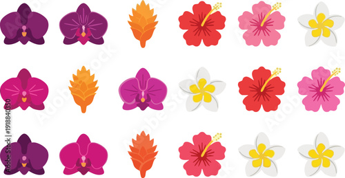 Collection of various tropical flowers including orchids, hibiscus, plumeria, and bird of paradise