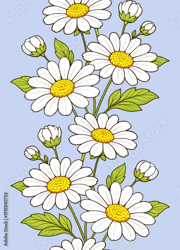 Daisy flower seamless border frame pattern