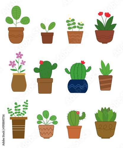 a collection of illustrations with flowers and cacti in pots