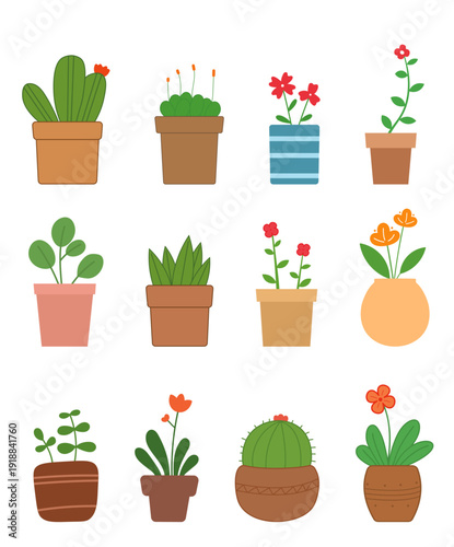 a collection of illustrations with flowers and cacti in pots