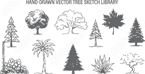 Hand drawn vector tree sketch library, various species of natural foliage elements