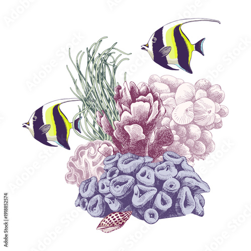 Coral reef sketched group with fishes