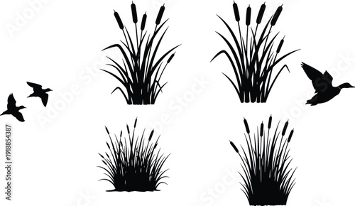 wetland reed silhouette collection, marsh grass with flying birds, black nature clipart set, isolated vector botanical landscape design