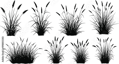 wild grass silhouette collection, meadow reed plants set, black botanical nature clipart, isolated vector foliage, decorative landscape elements