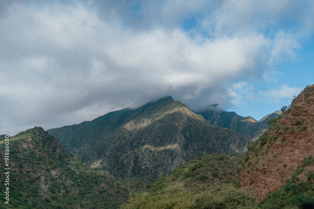 Fototapeta premium The mountains are covered in trees and the sky is cloudy