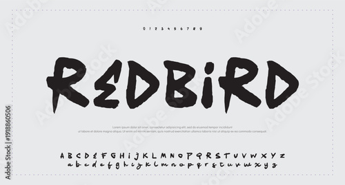 Script Brush Font Type Font lettering handwritten  