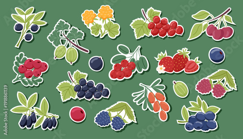 Set of different berries isolated on green background. Vector flat cliparts. Concept of healthy food, summer, autumn.