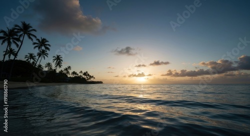 Beach sunset with palm trees and calm water