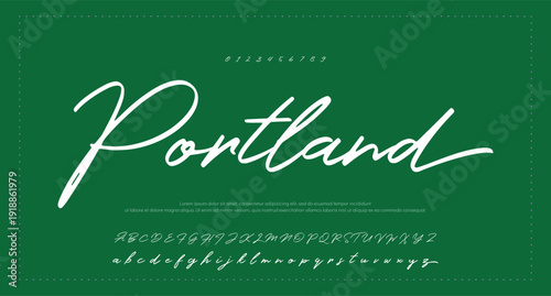 Script Brush Font Type Font lettering handwritten  