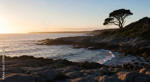 Coastal dawn with tree, rocks, and gentle waves