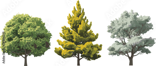 Realistic tree collection, green deciduous and evergreen trees isolated on white background, nature flat vector illustration