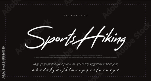 Script Brush Font Type Font lettering handwritten 