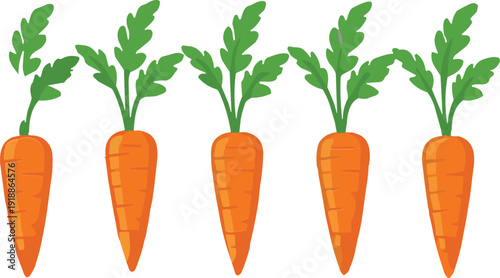 Fresh carrot vegetable cartoon icon set organic farm food vector illustration isolated collection design