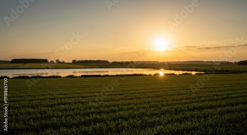 Golden sunset over field and pond