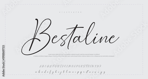 Script Brush Font Type Font lettering handwritten 