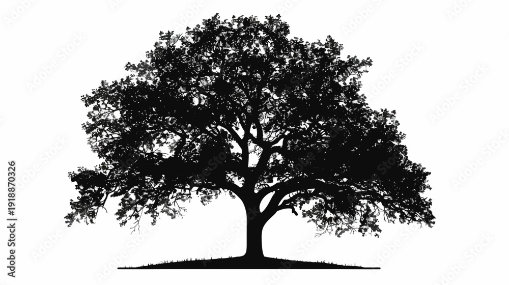 Fototapeta premium Silhouette of a majestic oak tree isolated on white background for design