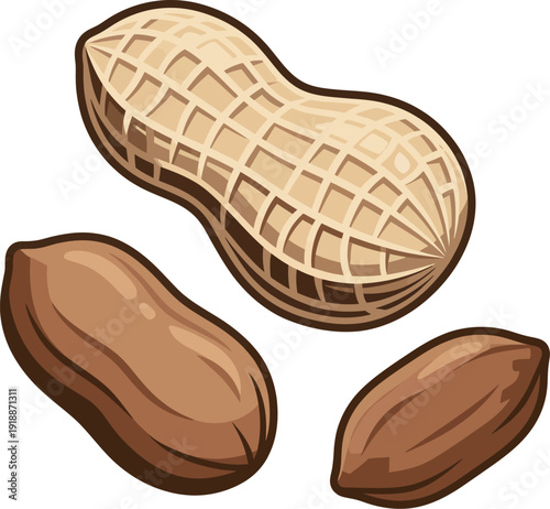 This illustration showcases raw peanuts, highlighting both their shells and the nutty goodness within, perfect for food-related designs or healthy lifestyle promotions.
