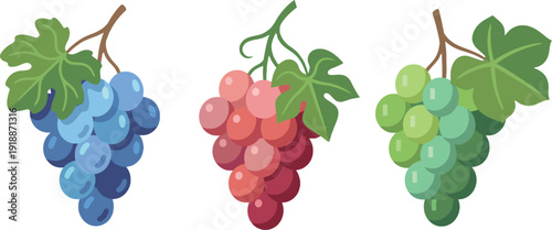 This vibrant image features an assortment of grapes in various colors, representing abundance and harvest, perfect for wine or health-related products and promotions.