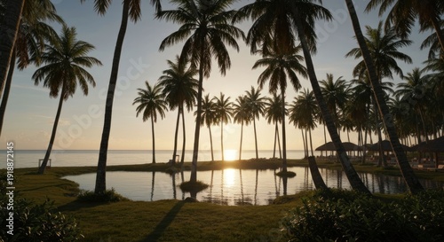 Tropical sunset. Calm, palms, pond, seaside