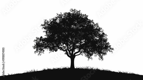 Silhouette of a majestic tree standing alone against white sky background