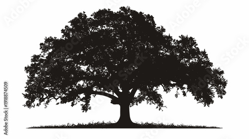 Silhouette of a majestic oak tree against a bright white background