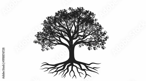 Silhouette of a large tree with roots and foliage on white background