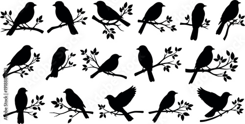Set of Bird Silhouettes Perching on Tree Branches with Leaves in Various Poses