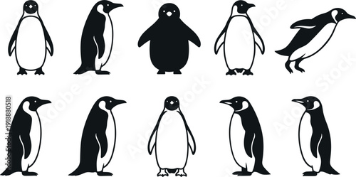 Set of Penguin Silhouettes in Various Poses Including Standing Walking and Swimming