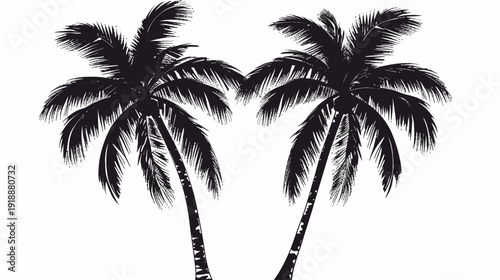 Silhouettes of palm trees tropical summer scenery vector illustration