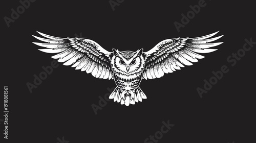 Detailed owl illustration with open wings on a black background
