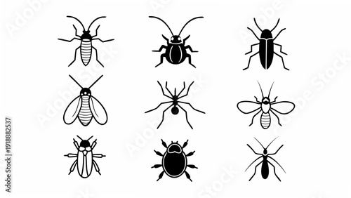 Collection of various insects are illustrated in a grid showcasing different shapes, sizes, and silhouettes on a white background from a straightforward perspective.