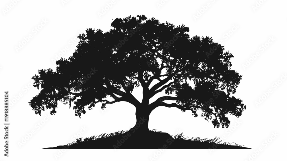 Fototapeta premium Silhouette of a large oak tree against a bright white background
