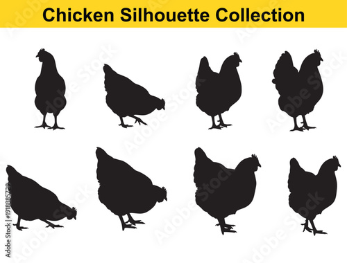 Chicken silhouette collection with black hen and rooster shapes in multiple poses, farm poultry outline icons isolated on white background for logo, clipart, and design