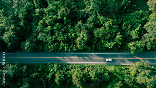Foto Natural forest road background symbolizing low carbon economy and responsible corporate strategy