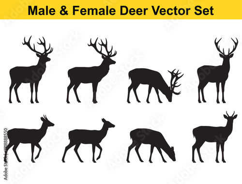 Deer silhouette vector set with male stag antlers and female doe shapes in multiple poses, black wildlife animals isolated on white for hunting, nature logos