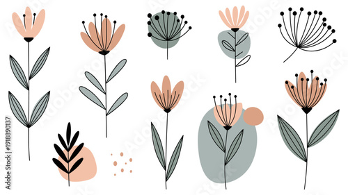 A charming collection of hand-drawn floral elements, featuring delicate blossoms and leaves in a soft, muted color palette, perfect for spring and summer designs.