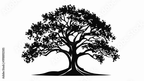 Silhouette of a majestic tree with spreading branches on white background