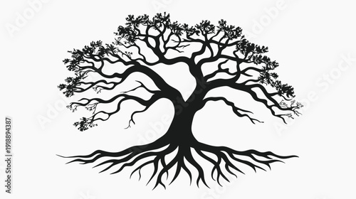 Silhouette of a majestic tree with root system isolated on white background
