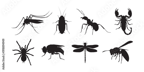 Vector illustration of insect and spider silhouette set featuring mosquitoes, ants, spiders, scorpions and flying insects.