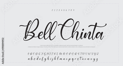  signature font isolated on grey background. brus style alphabet. Vector logo letters. 