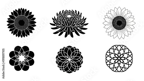Black and white floral patterns decorative designs for diverse applications
