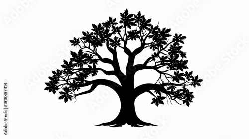 Silhouette of a majestic tree with lush foliage against a white background