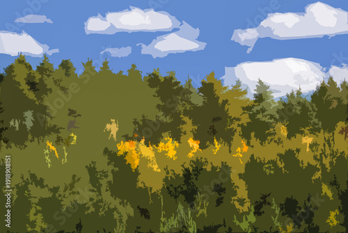 AUTUMN LANDSCAPE - Colorful tree leaves among the green pines
